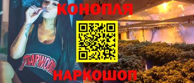 стафф Волгодонск