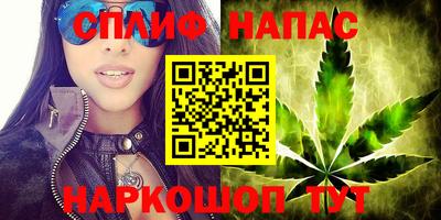 стафф Волгодонск