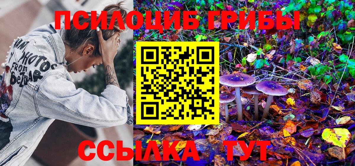 Псилоцибиновые грибы мухоморы Новокубанск