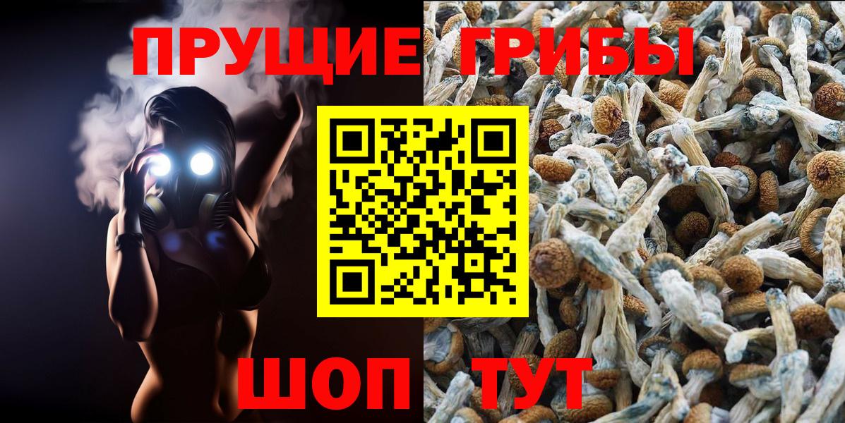 Галлюциногенные грибы ЛСД  Вход с VPN  Новокубанск  Псилоцибиновые грибы Magic Shrooms 